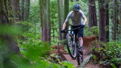 light-bicycle-newsletter-rider-bike-check-2024-s-works-epic